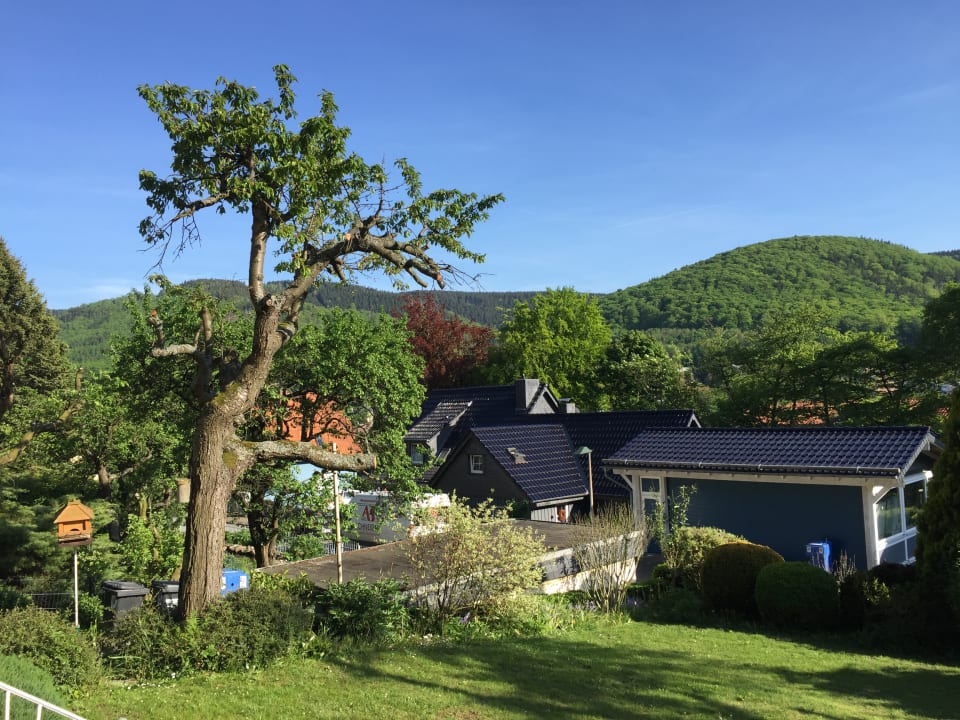 Gartenanlage Ferienhaus Goethestraße
