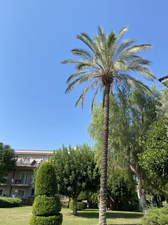 Gartenanlage Sunis Elita Beach Resort & Spa