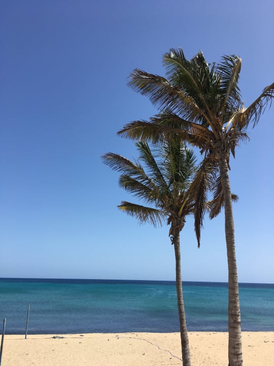 Strand allsun App.-Hotel Barlovento
