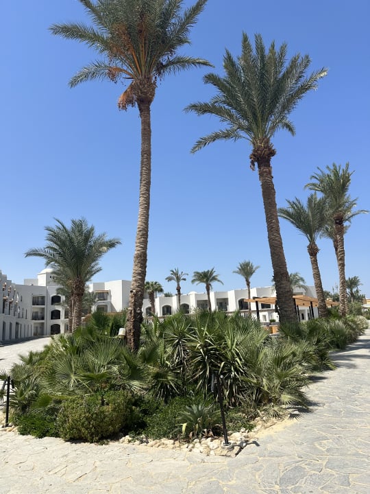 Gartenanlage Serry Beach Resort