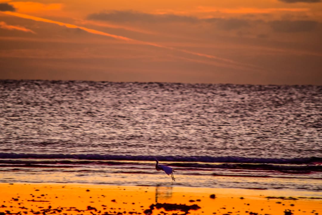 Strand Three Corners Equinox Beach Resort
