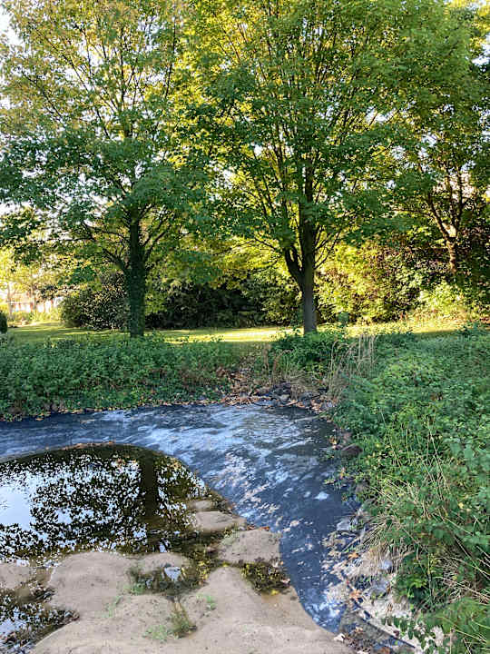 Außenansicht Best Western Parkhotel Brehna - Halle