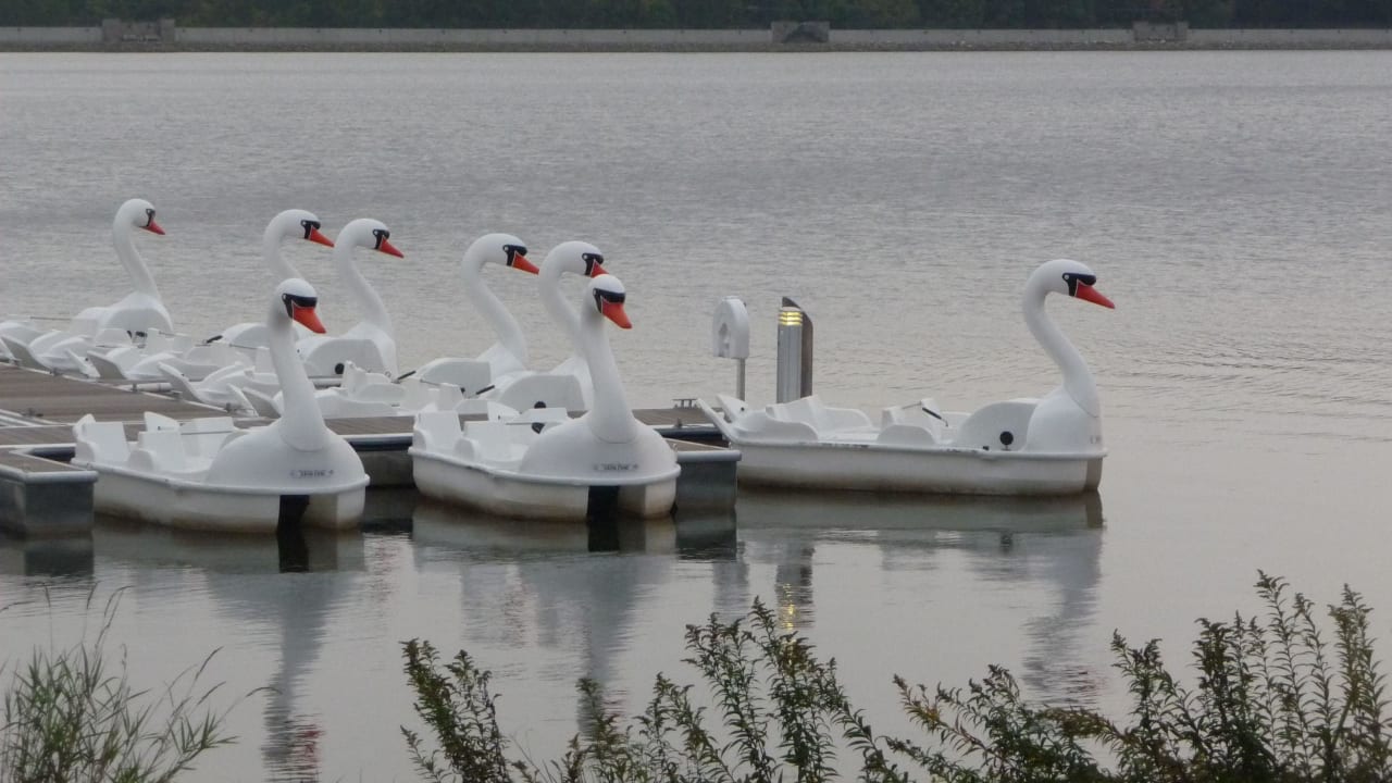 Tretboote Center Parcs Park Bostalsee