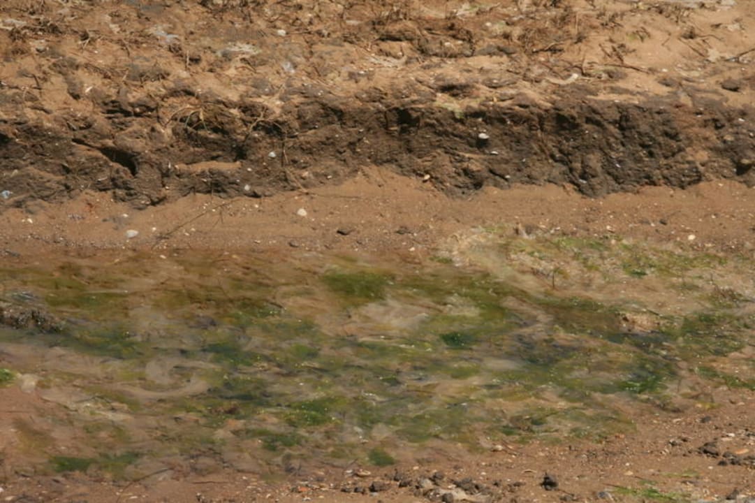 hmm .. lecker Golden Club Cabanas