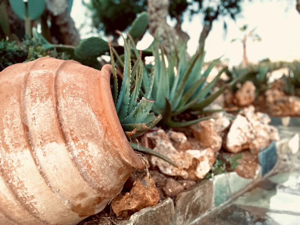 Außenansicht Mitsis Selection Rinela