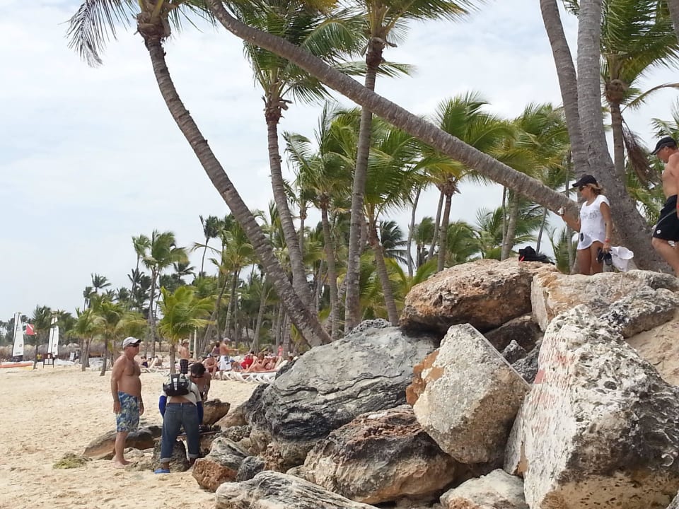 Strand vor Poolanlage Hotel Riu Palace Bavaro