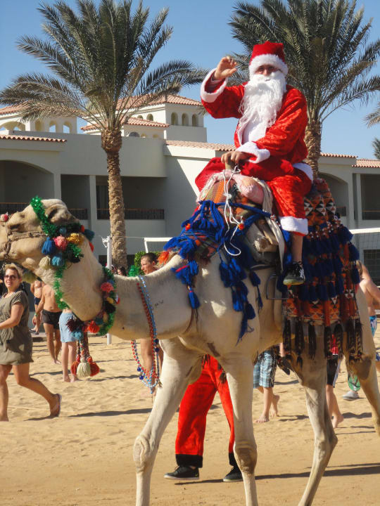 An Heiligabend am Strand Pickalbatros Dana Beach Resort - Hurghada