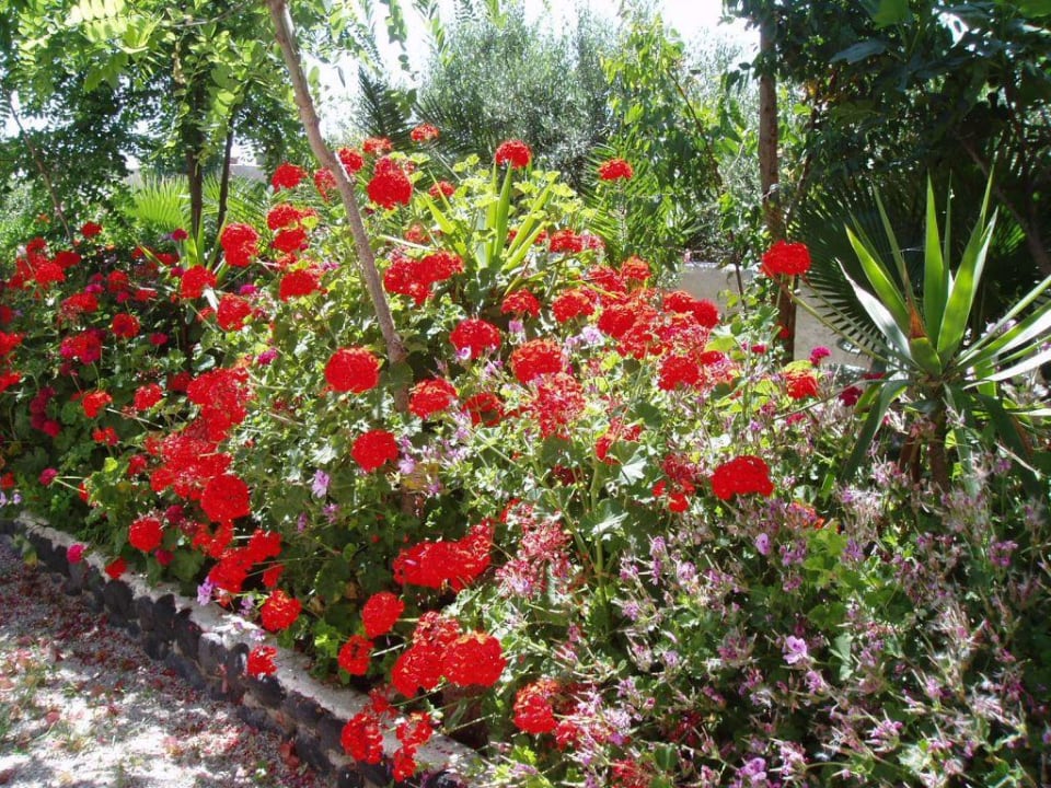 Gartenanlage Mediterranean Beach