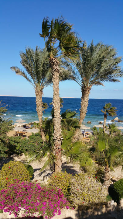 Beach Pickalbatros Citadel Resort