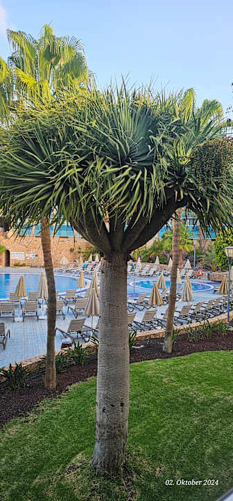 Pool MUR Hotel Faro Jandia & Spa Fuerteventura