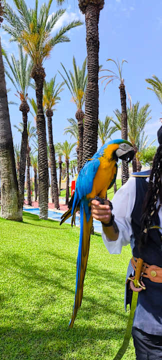 Sport & Freizeit Monachus Family Resort Sorgun