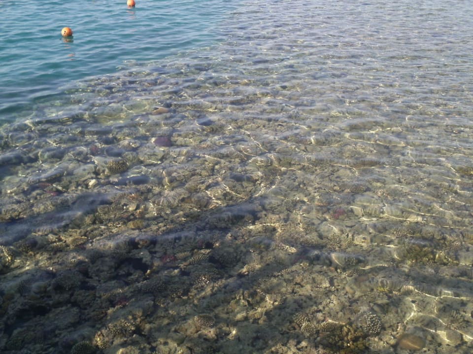 Hausriff Stella Beach Resort & Spa Makadi Bay