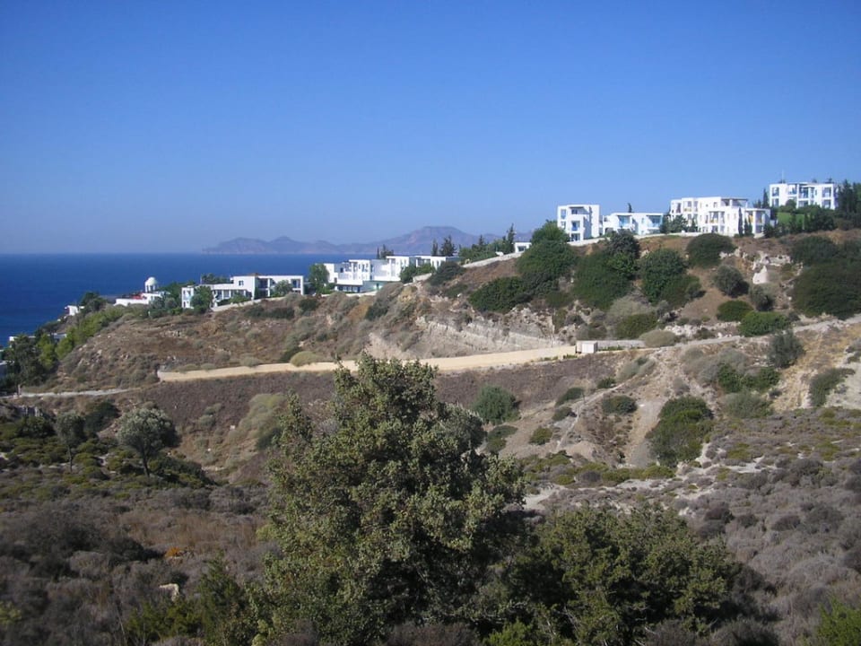 Daidalos ROBINSON DAIDALOS