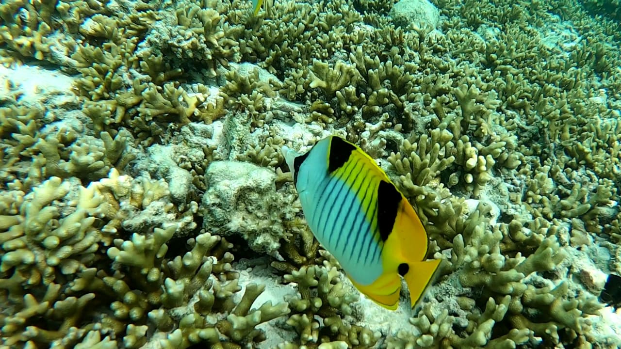 Sport & Freizeit Cinnamon Dhonveli Maldives