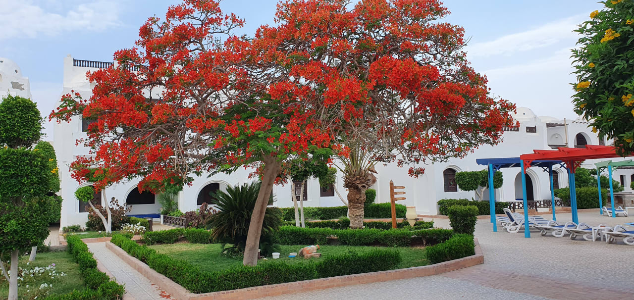 Gartenanlage Arabella Azur Resort