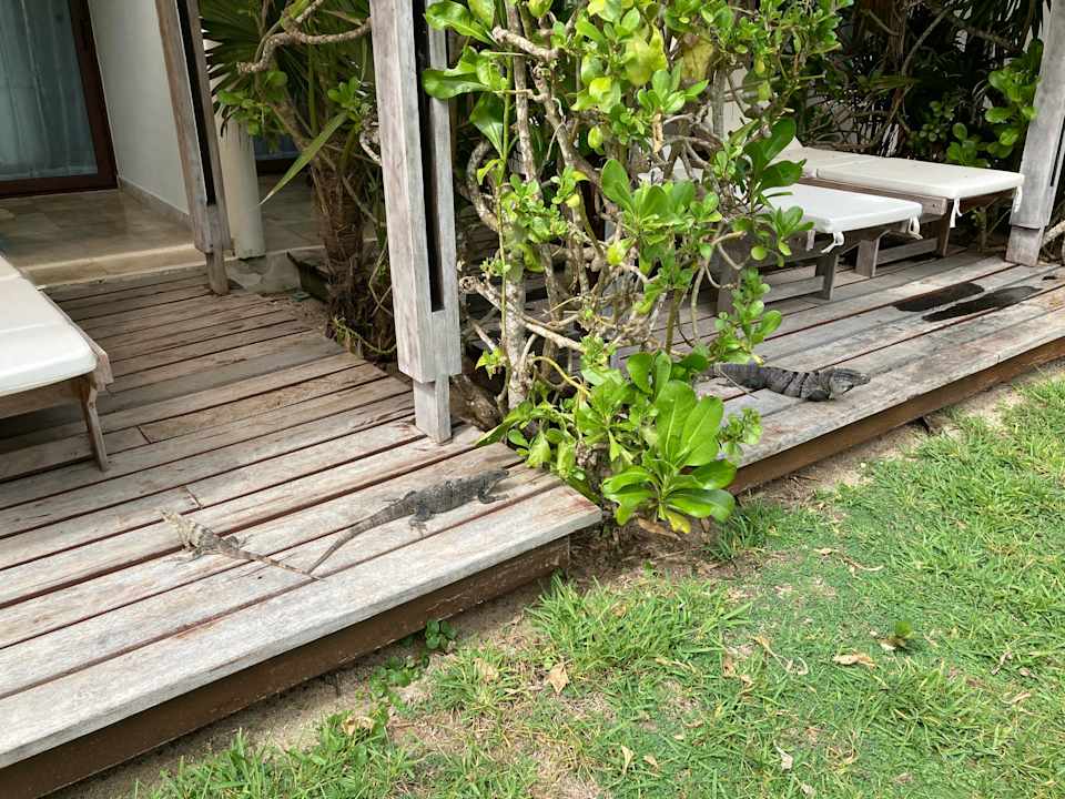 Zimmer Akumal Bay Beach & Wellness Resort