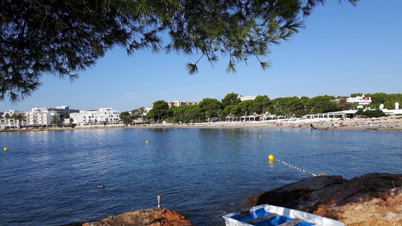 Strand Moon Dreams Coral Beach