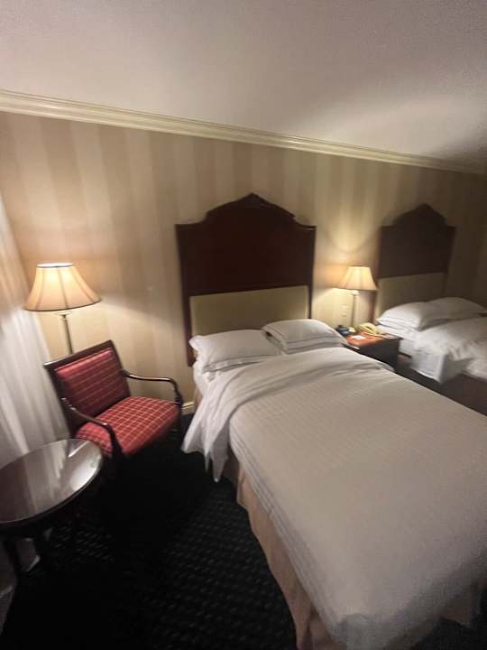 Zimmer Barceló San Salvador