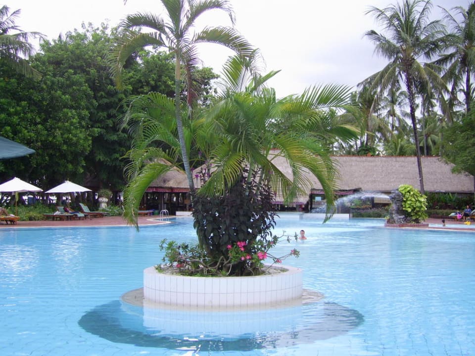 Blick auf den Pool Prama Sanur Beach Bali