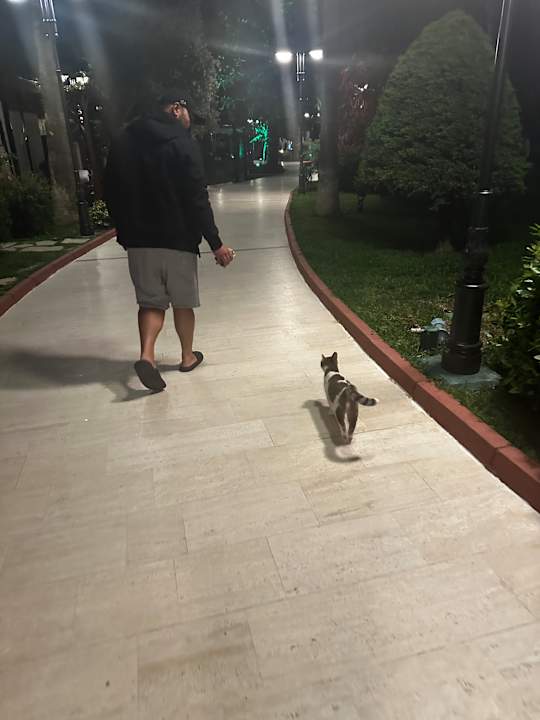 Gartenanlage Saphir Resort & Spa