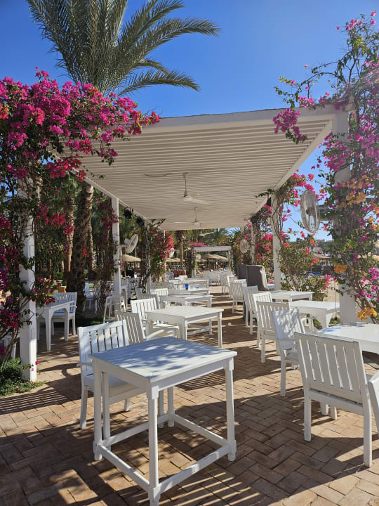 Gastro Fort Arabesque Resort, Spa & Villas
