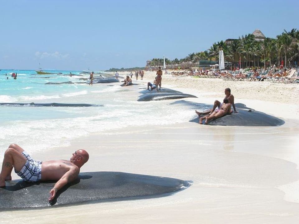 Strand am  Riu Yukatan Hotel Riu Tequila