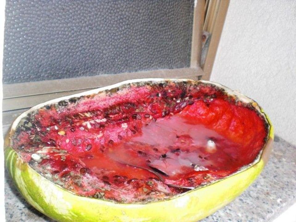Die vergammelte Wassermelone! Lecker! Hotel New