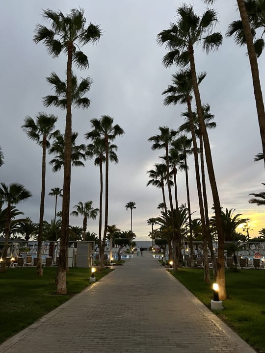 Gartenanlage Hotel Riu Palace Tenerife