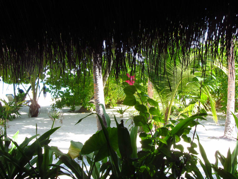 Ausblick vom Malaafaiy Restaurant Kuramathi Maldives