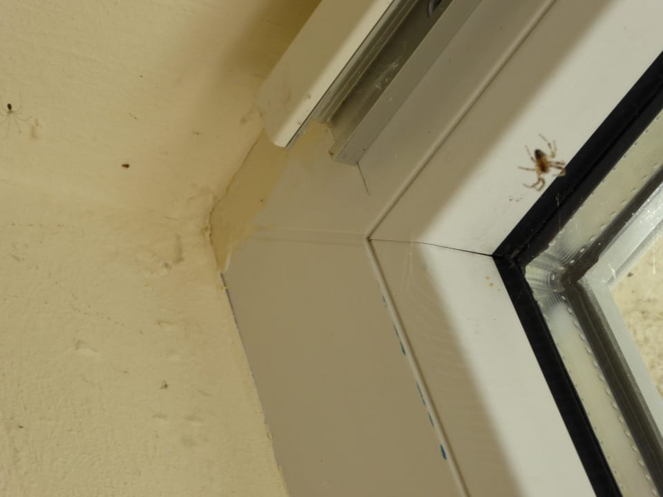 Unsere zusätzlichen *****-Mitbewohner  Seehotel Schloss Klink