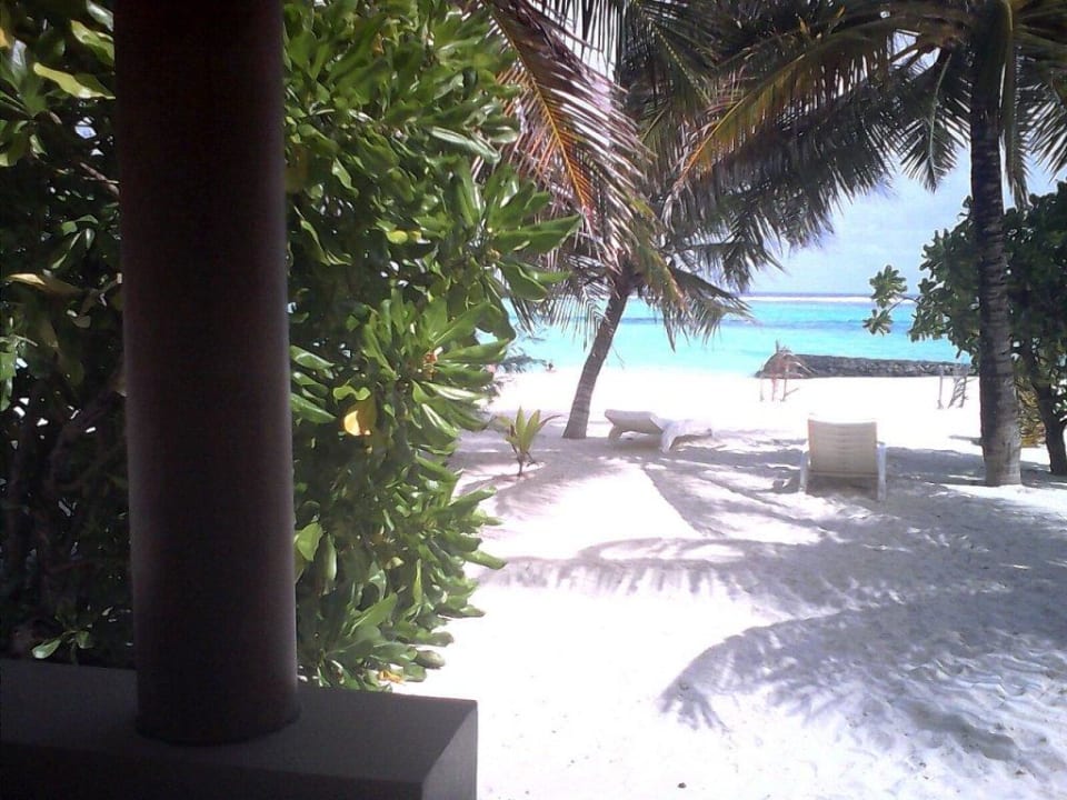 Vor Bungi 212, schönster Abschnitt der Insel mMn Summer Island Maldives