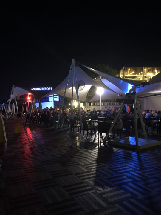 Gastro Paloma Oceana