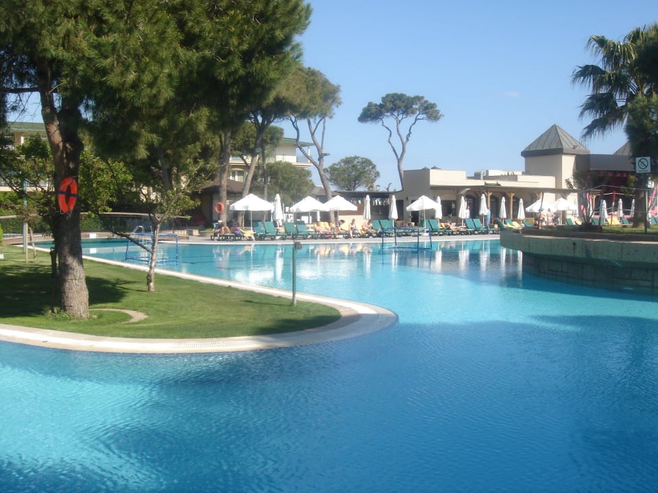 Velký bazén Papillon Ayscha