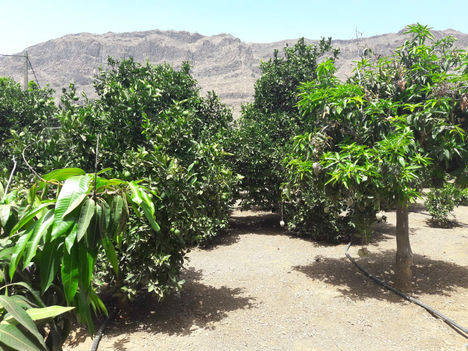 Sonstiges Bauernhof Tomás y Puri