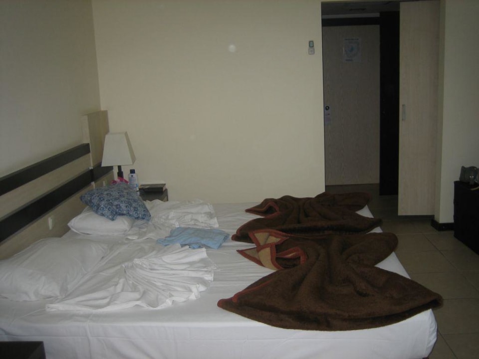 Zimmer Hotel Orfeus Park