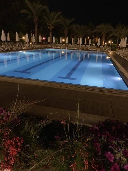Pool Sidemarin Kirman Premium