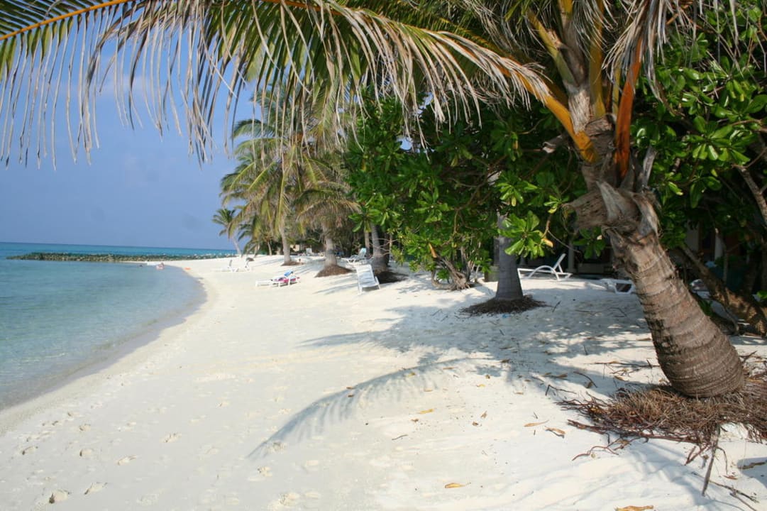 Strand bei Bungi66 Summer Island Maldives