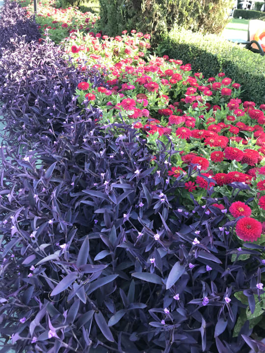 Garten Trendy Aspendos Beach Hotel