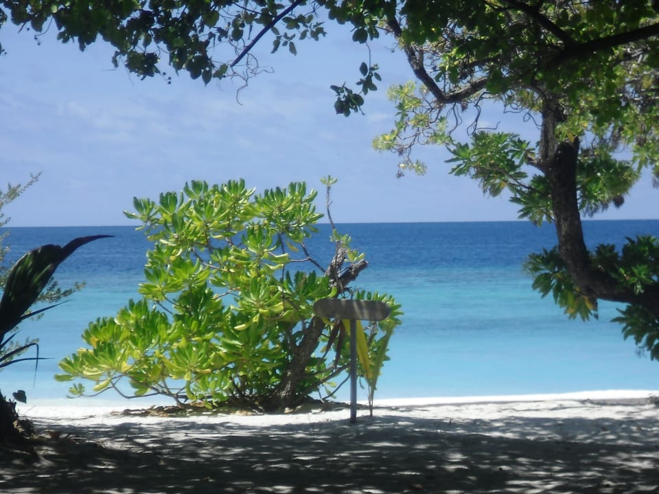 Super schön Adaaran Select Meedhupparu Island Resort - Premium All Inclusive