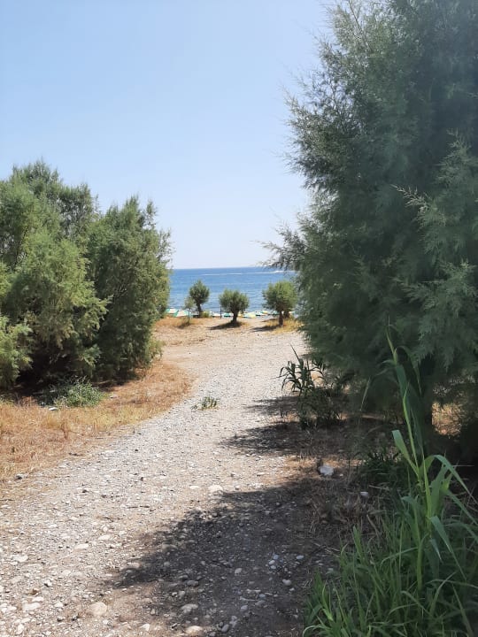 Strand Irene Palace Beach Resort Club alltoura