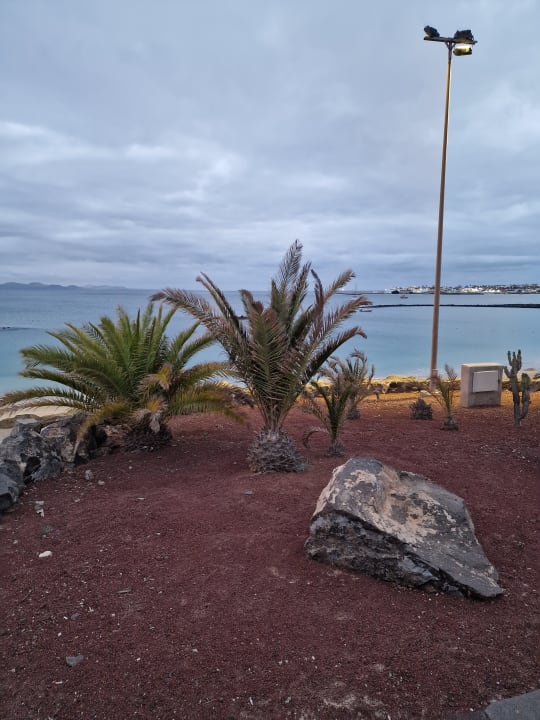 Gartenanlage Dreams Lanzarote Playa Dorada Resort & Spa
