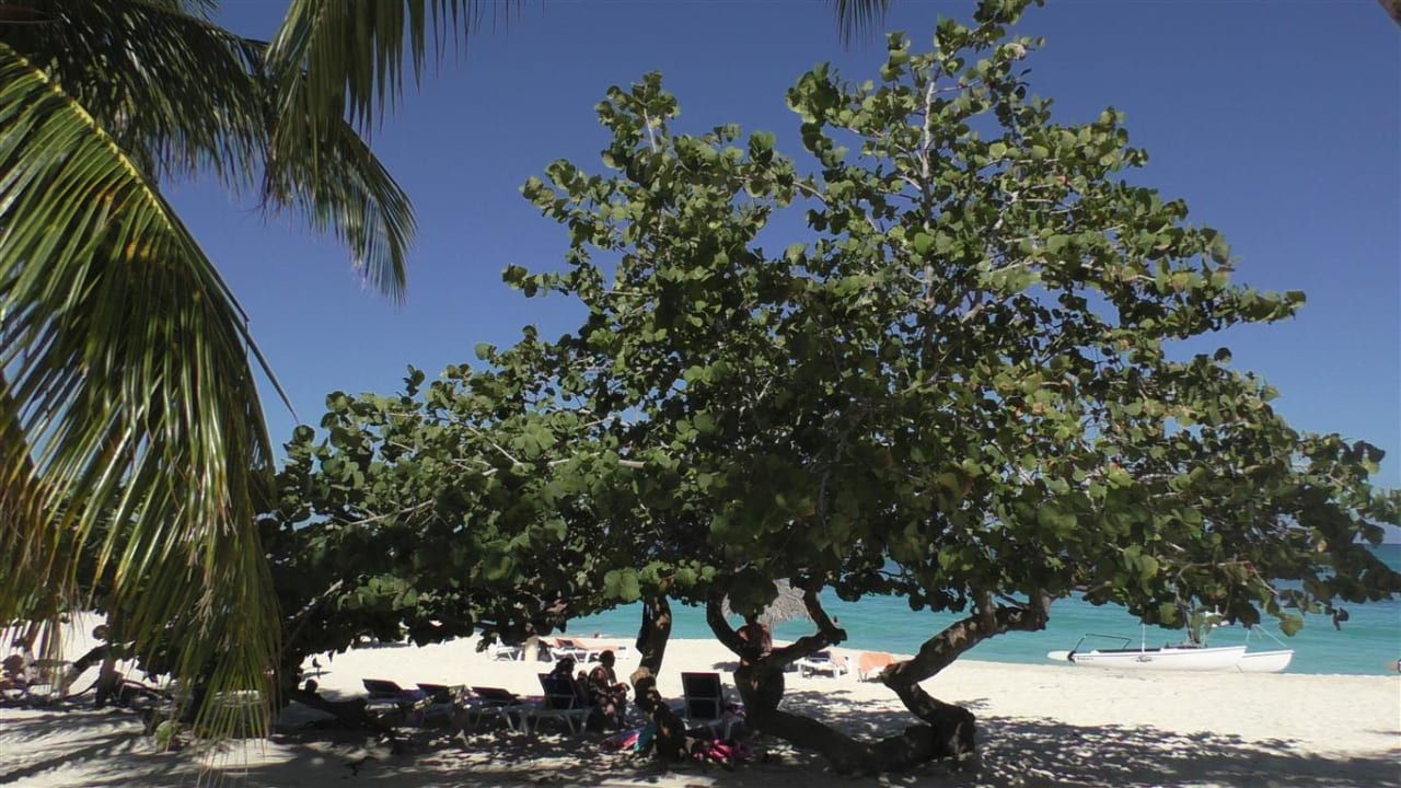 Strand Sol Rio De Luna y Mares
