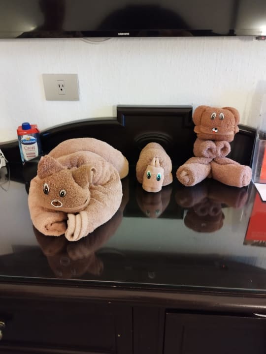 Zimmer Hotel Riu Tequila