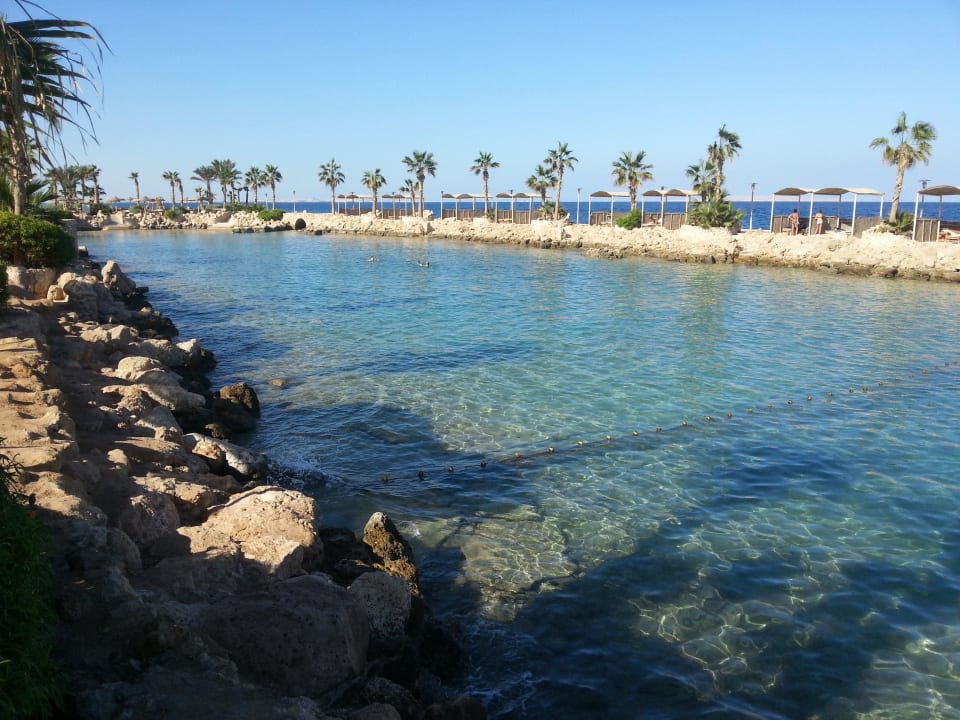 Schöner schnorchspot Pickalbatros Citadel Resort