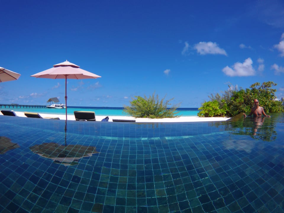 Infinity Pool Mit Blick A Amari Havodda Maldives Thinadhoo • Holidaycheck Gaafu Dhaalu