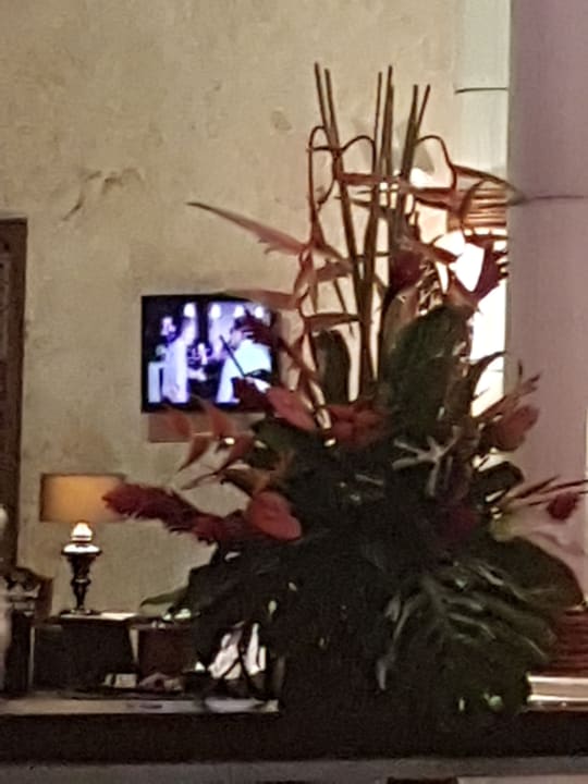 Lobby TRS Turquesa Hotel - Adults only