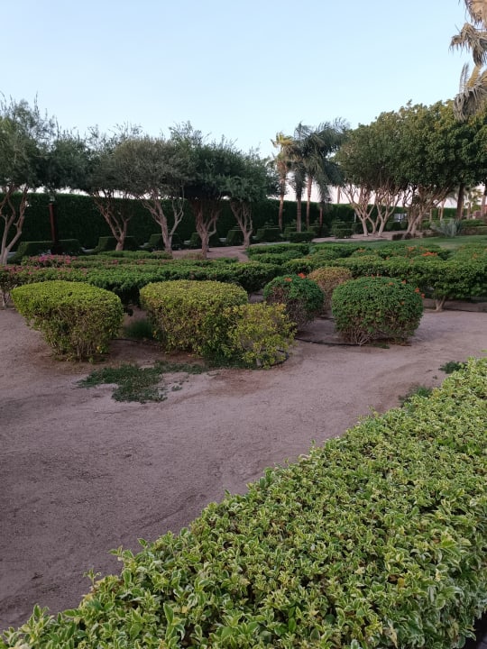 Gartenanlage Steigenberger ALDAU Beach Hotel