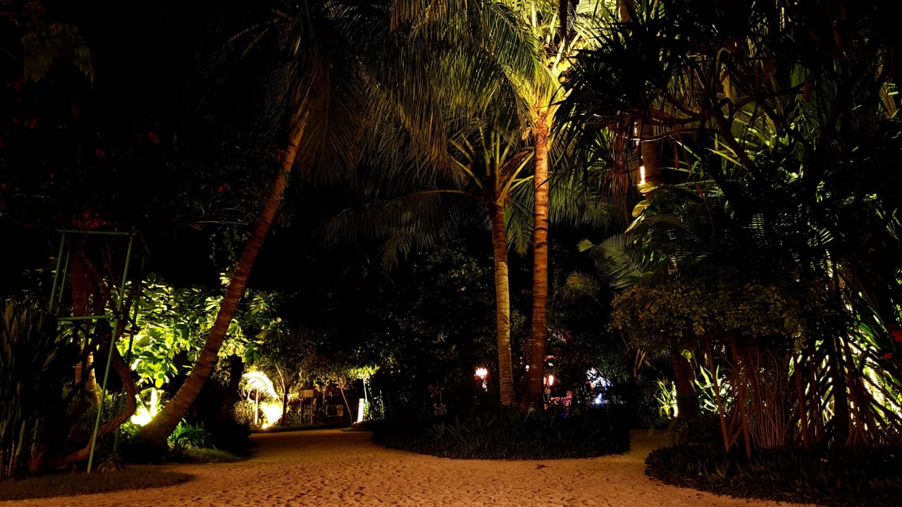 Kreuzung Kuramathi Maldives