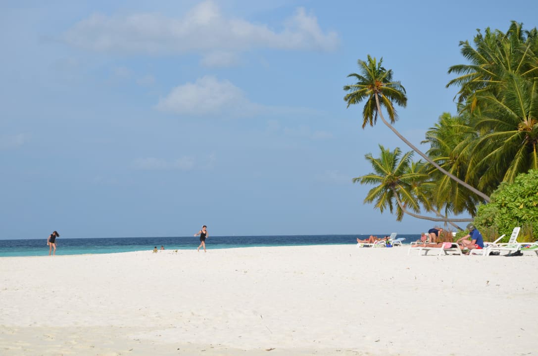 Plaża Fihalhohi Maldives
