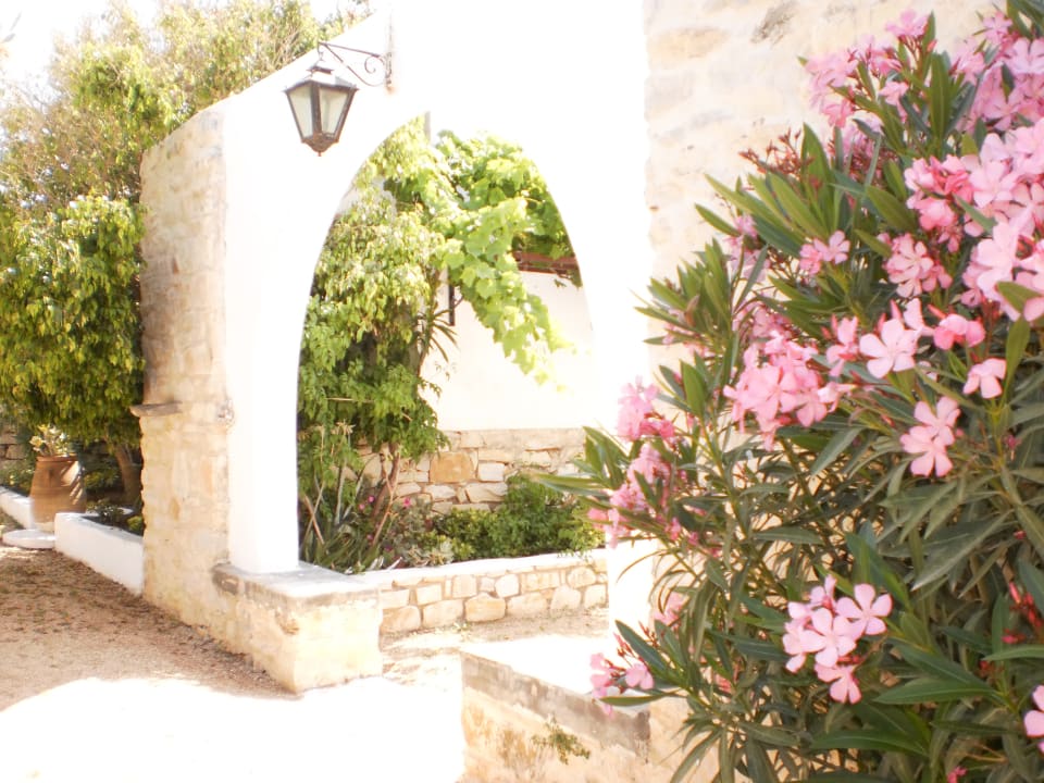 Gartenanlage Bungalows Svoronos